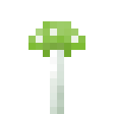 Green mushroom (Green mushroom)