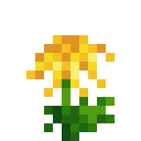 黄色菊花 (Yellow Chrysanthemum)