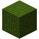 绿色錾制石英块 (Green Chiselled Quartz Block)