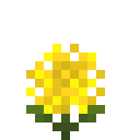 黄色绣球花 (Yellow Hydrangea)