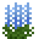 Blue Delphinium (Blue Delphinium)