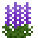 Purple Delphinium (Purple Delphinium)