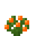 Orange Geranium (Orange Geranium)
