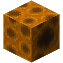 空巢脾育苗块 (Empty Honeycomb Brood Block)