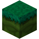 Grass Block (Wyvernia) (Grass Block (Wyvernia))