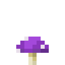 Purple Shroom (Purple Shroom)