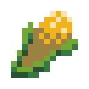 玉米 (Corn)
