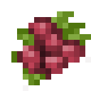 树莓 (Raspberry)