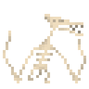 莫干翼龙新鲜骨架 (Moganopterus Fresh Skeleton)