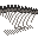 美颌龙肋骨 (Compsognathus Ribcage)