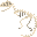 玛君龙新鲜骨架 (Majungasaurus Fresh Skeleton)