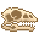新鲜的鼠龙头骨 (Fresh Mussaurus Skull)