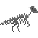 盔头龙化石骨架 (Corythosaurus Fossilized Skeleton)