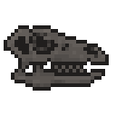 雷利诺龙头骨 (Leaellynasaura Skull)