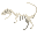 异特龙新鲜骨架 (Allosaurus Fresh Skeleton)