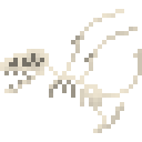 真双齿翼龙新鲜骨架 (Dimorphodon Fresh Skeleton)