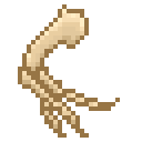 新鲜的似鳄龙手臂骨 (Fresh Suchomimus Arm Bones)