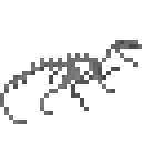 斯基龙化石骨架 (Segisaurus Fossilized Skeleton)