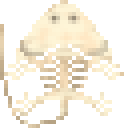 笠头螈新鲜骨架 (Diplocaulus Fresh Skeleton)