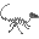 雷利诺龙化石骨架 (Leaellynasaura Fossilized Skeleton)