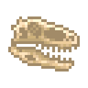 新鲜的迅猛龙头骨 (Fresh Velociraptor Skull)