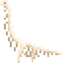 施氏无畏龙新鲜骨架 (Dreadnoughtus Fresh Skeleton)