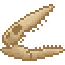 新鲜的海王龙头骨 (Fresh Tylosaurus Skull)