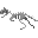 食肉牛龙化石骨架 (Carnotaurus Fossilized Skeleton)