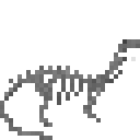 迷惑龙化石骨架 (Apatosaurus Fossilized Skeleton)