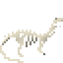 迷惑龙新鲜骨架 (Apatosaurus Fresh Skeleton)