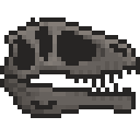 鲨齿龙头骨 (Carcharodontosaurus Skull)