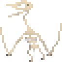 风神翼龙新鲜骨架 (Quetzalcoatlus Fresh Skeleton)