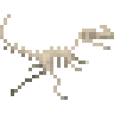 原角鼻龙新鲜骨架 (Proceratosaurus Fresh Skeleton)
