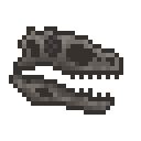 阿基里斯龙头骨 (Achillobator Skull)
