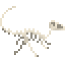 雷利诺龙新鲜骨架 (Leaellynasaura Fresh Skeleton)