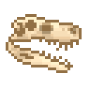 新鲜的埃雷拉龙头骨 (Fresh Herrerasaurus Skull)