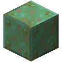中度锈蚀的铜块 (tile.semi_weathered_copper_block.name)