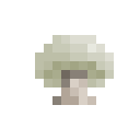 白蘑菇 (White Mushroom)