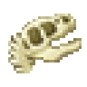 骨头化石 (Bone Fossil)