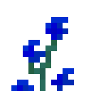 蓝色高神秘花 (Tall Mystical Blue Flower)