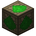 绿色氟石粉板条箱 (Crate of Green Fluorite Dust)