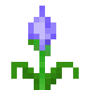 蓝晶花 (Blue Crystal Flower)