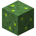 绿色蘑菇方块 (Green Mushroom Block)