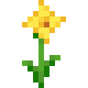 Daffodil (Daffodil)