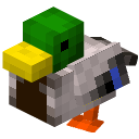 鸭 (Duck)