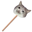 猫猫锤 (Cat Hammer)