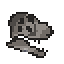 圆顶龙头骨 (Camarasaurus Skull)