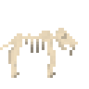 恐象新鲜骨架 (Deinotherium Fresh Skeleton)