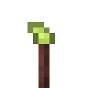 Lime Ether Torch