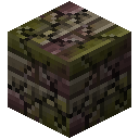 碎裂沼泽砖 (Cracked Swamp Brick)